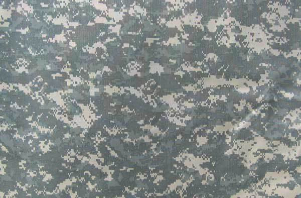 What do you see here?